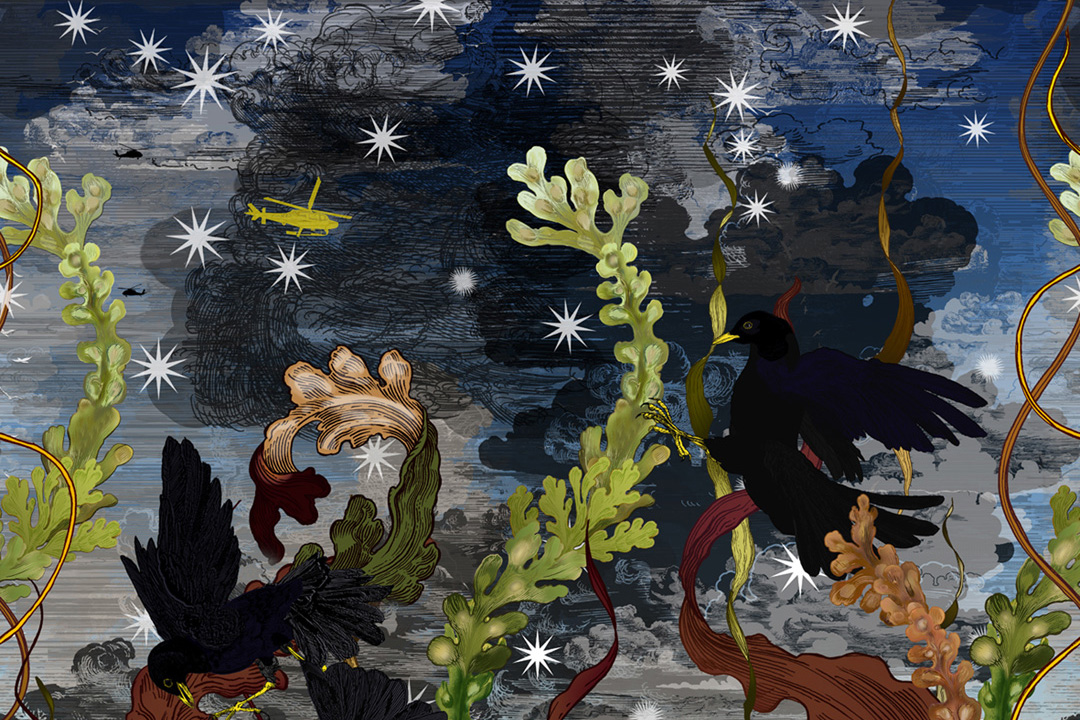 Illustrating Kate Bush 'Before the Dawn' Programme Covers