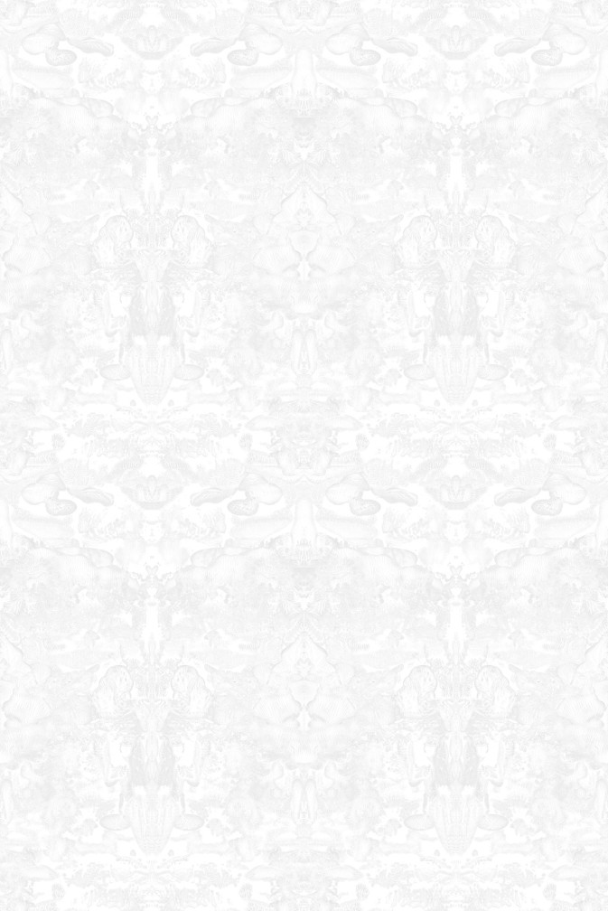 Roller Blotch Wallpaper / image 1