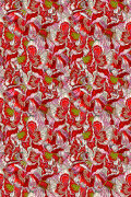 Colour Scarlet