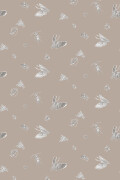 Colour Beige & White on Stone