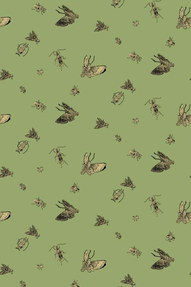 Insect Wallpaper