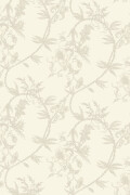 Colour Cream