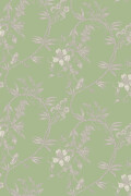 Colour Jade