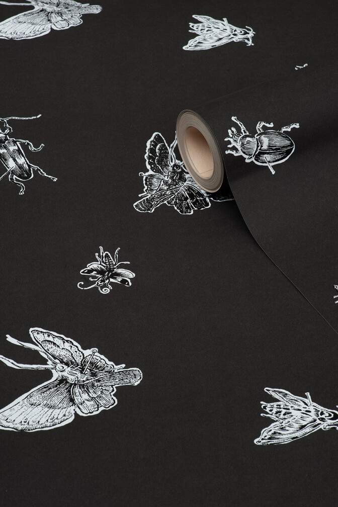 Insect Wallpaper / image 2
