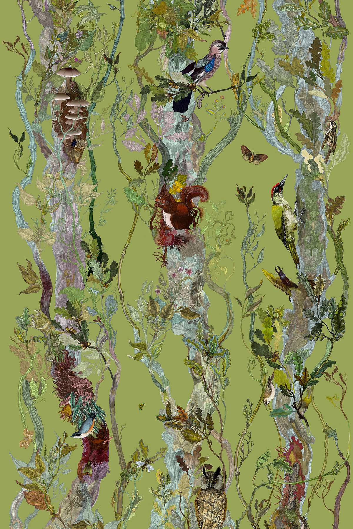 Colour Lime