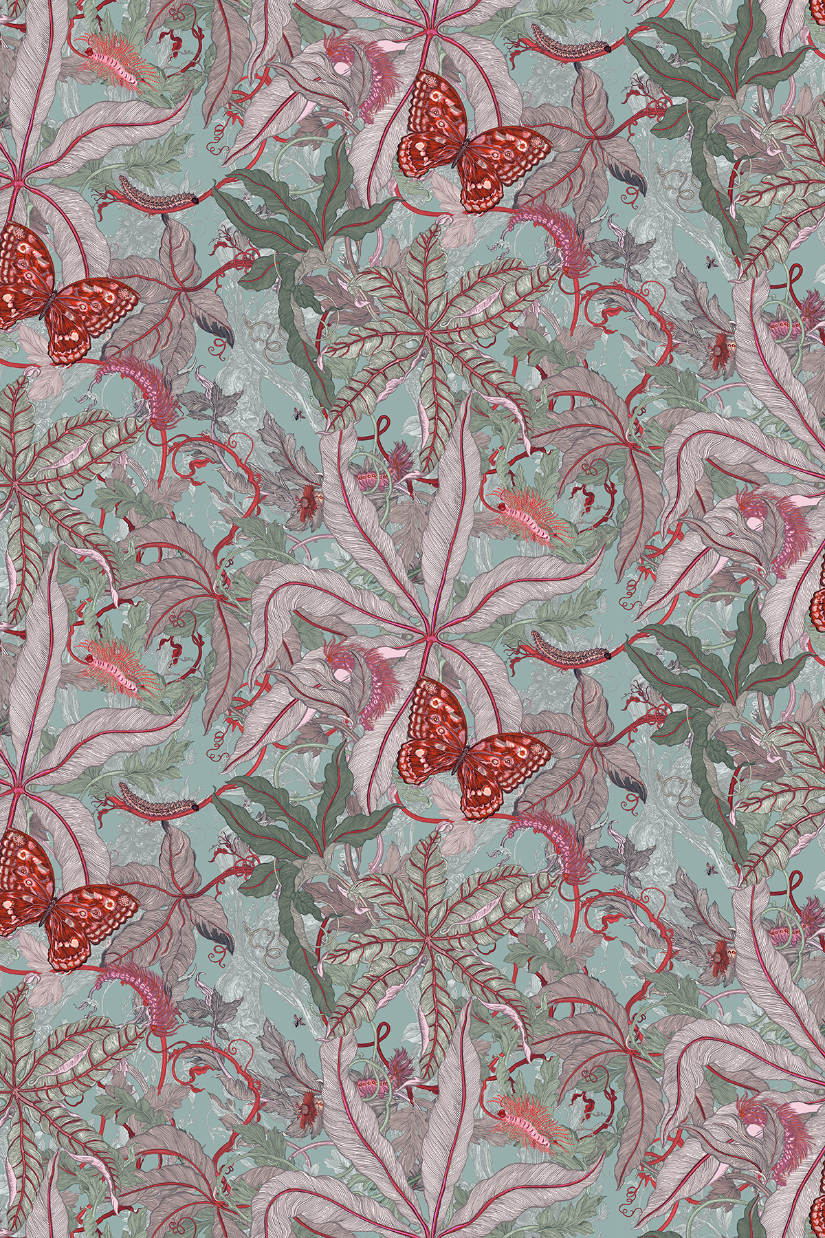 Colour Aurelia
