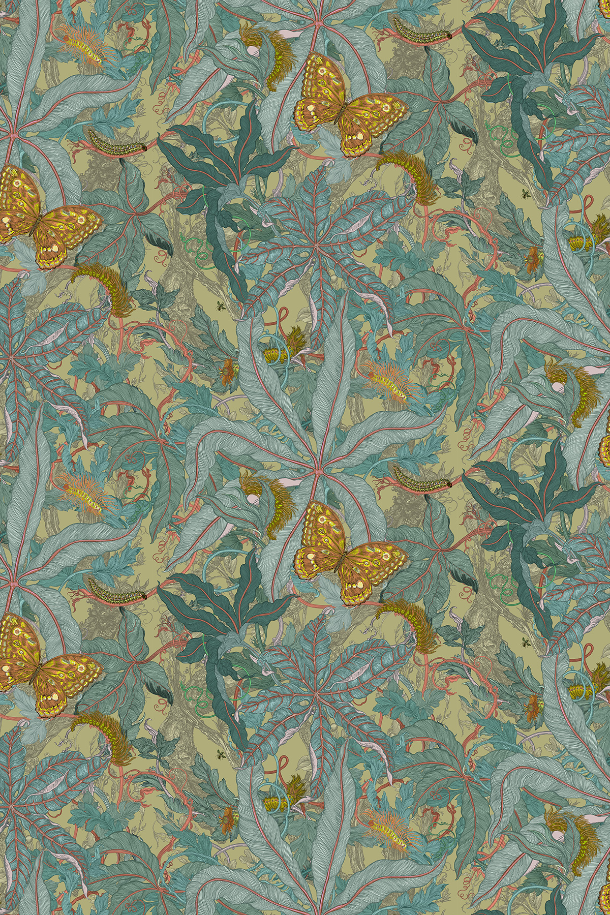 Colour Copaxa