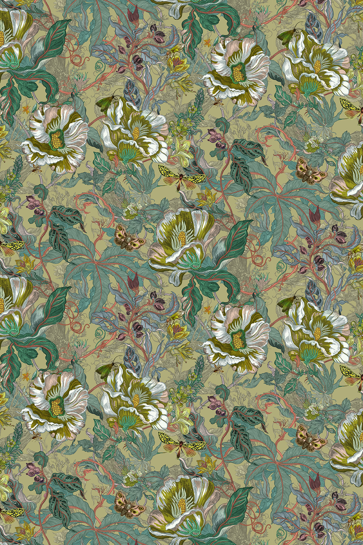 Papaver Wallpaper