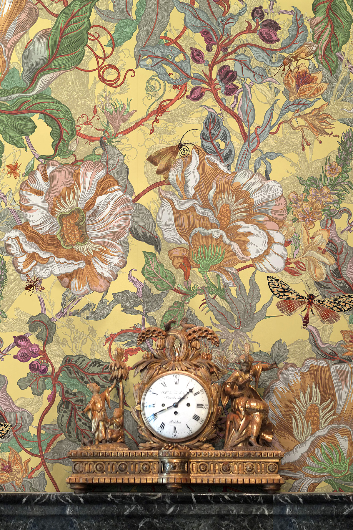 Papaver Wallpaper / image 3