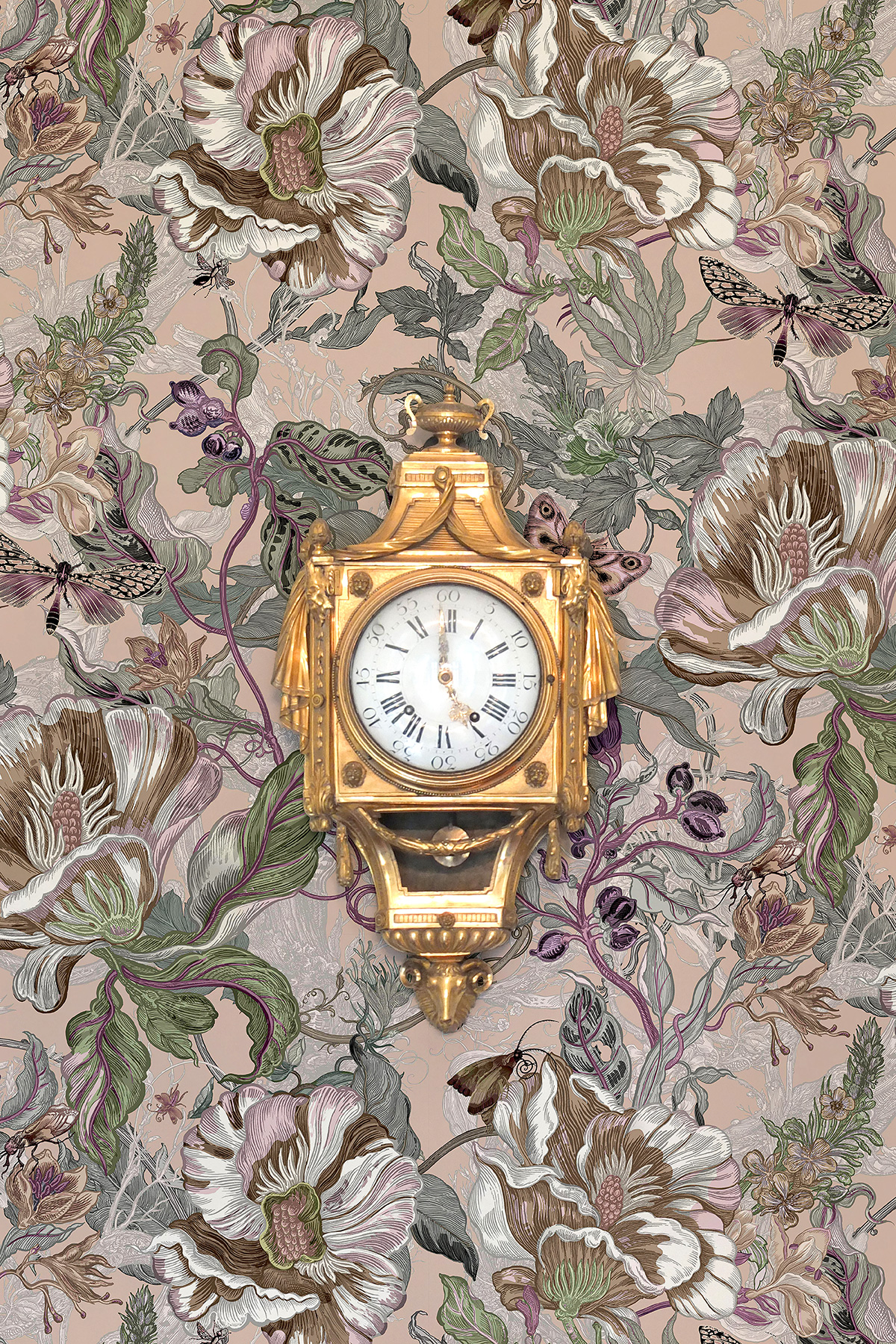 Papaver Wallpaper / image 5