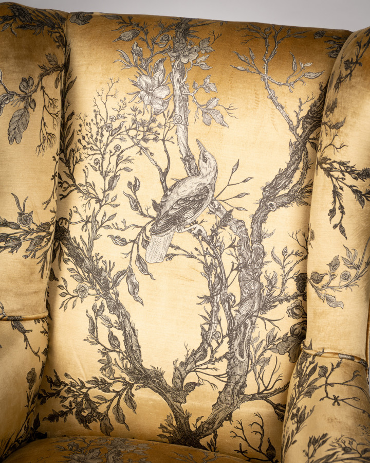 Golden Oriole Velvet Wingback / image 5