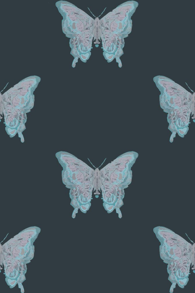 Butterfly Wallpaper