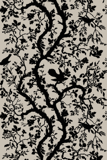 https://www.timorousbeasties.live//mediaLibrary/images/english/6691-small.jpeg?v=1