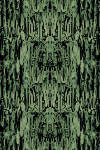https://www.timorousbeasties.live//mediaLibrary/images/english/68455-small.jpeg?v=1