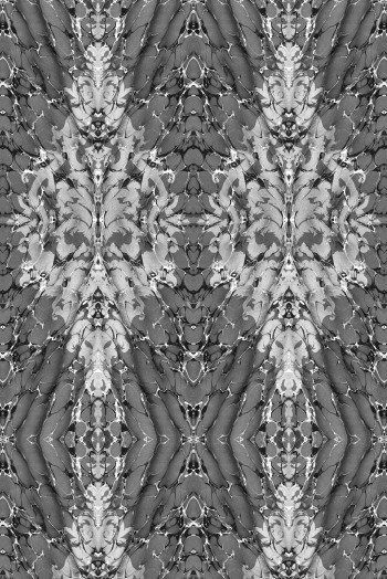 https://www.timorousbeasties.live//mediaLibrary/images/english/7371-small.jpeg?v=1