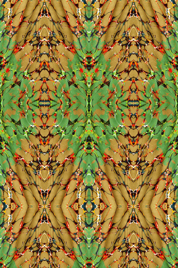 https://www.timorousbeasties.live//mediaLibrary/images/english/7387-small.jpeg?v=1