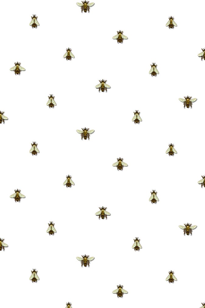 Wild Honey Bee Spot Wallpaper