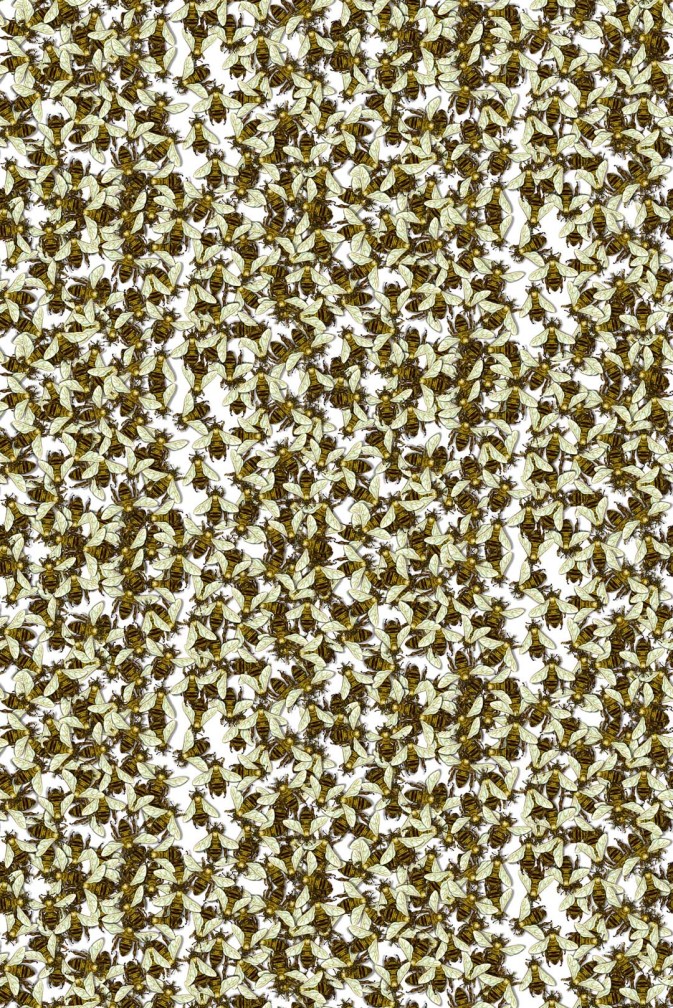 Wild Honey Bee All Over Wallpaper