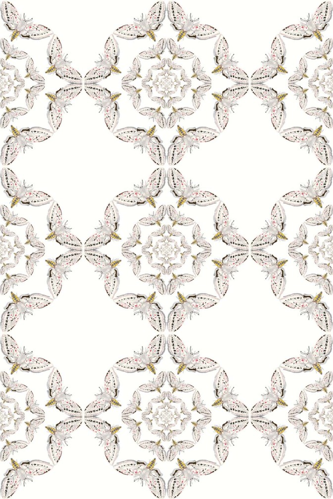 White Moth Circle Wallpaper