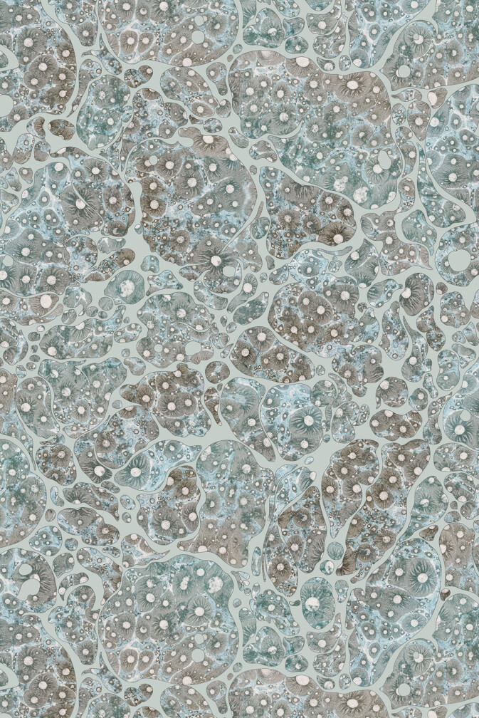Moonrock Cork Wallpaper / image 1