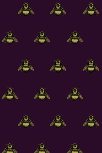 https://www.timorousbeasties.live//mediaLibrary/images/english/8337-small.jpeg?v=1