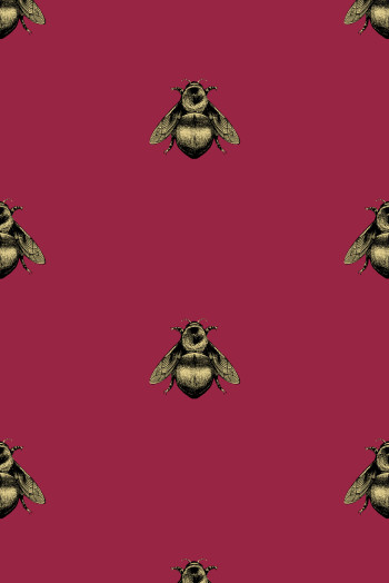 https://www.timorousbeasties.live//mediaLibrary/images/english/8348-small.jpeg?v=1