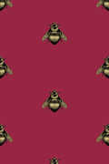 Colour Black & Gold on Red