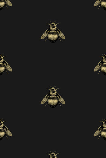 https://www.timorousbeasties.live//mediaLibrary/images/english/8361-small.jpeg?v=1