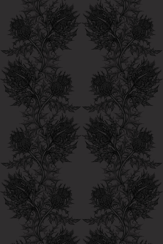 Thistle Superwide Wallpaper / image 1