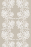 Colour White