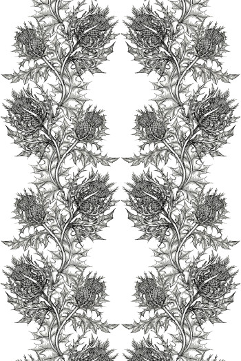 https://www.timorousbeasties.live//mediaLibrary/images/english/8856-small.jpeg?v=1