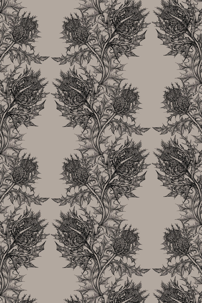 Thistle Wallpaper