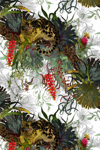 https://www.timorousbeasties.live//mediaLibrary/images/english/8996-small.jpeg?v=1