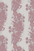 Colour Dusky Pink