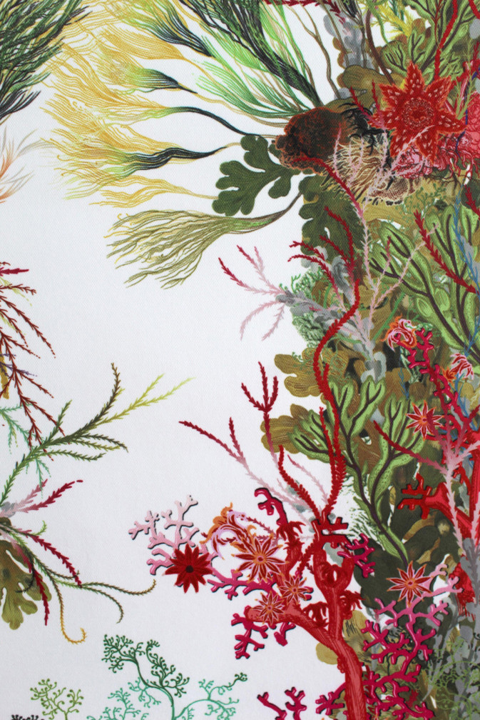 Seaweed Column Wallpaper / image 4