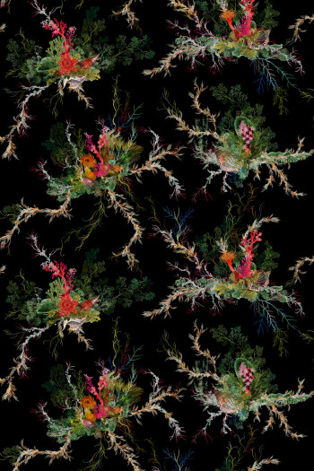 https://www.timorousbeasties.live//mediaLibrary/images/english/9270-small.jpeg?v=1