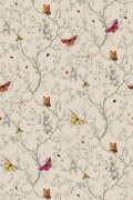 Colour Bone