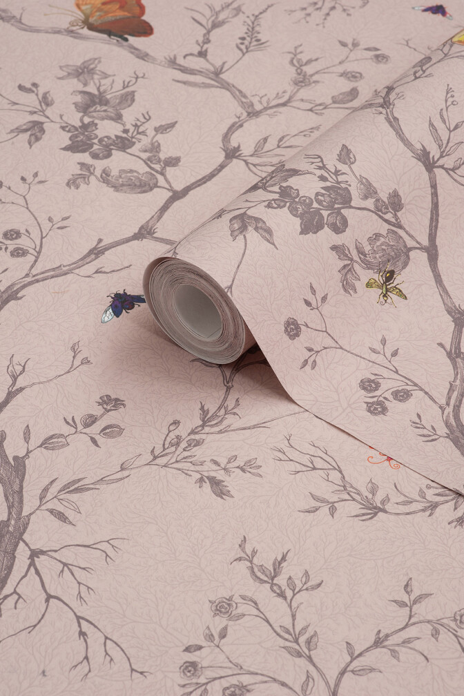Butterflies Wallpaper / image 5